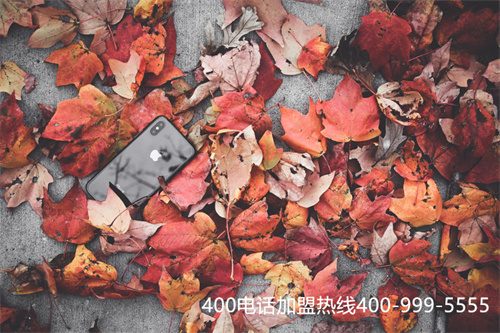 (400電話功能)(400電話功能詳解)