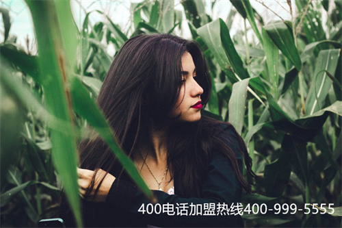 (撥打400電話每分鐘多少錢)(400電話申請一般需要多少錢？)
