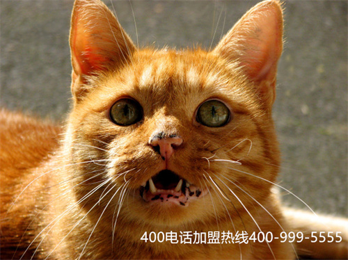 (400電話是免費嗎)(400電話接聽免費的嗎)