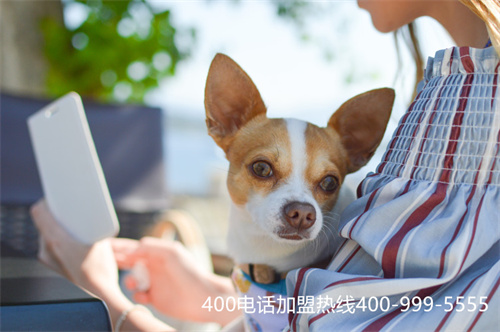 (400電話辦理申請(qǐng))(辦理400電話的資費(fèi))