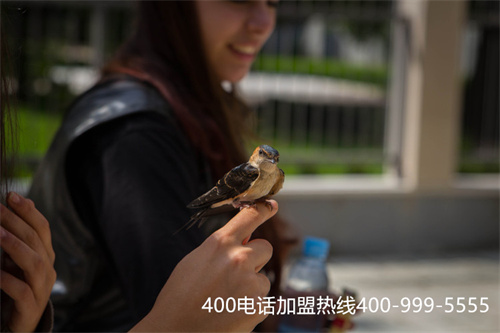 (400電話都是正規(guī)的嗎)(網(wǎng)上看到可以通過代理商進(jìn)行400電話辦理，請(qǐng)問靠譜嗎？)